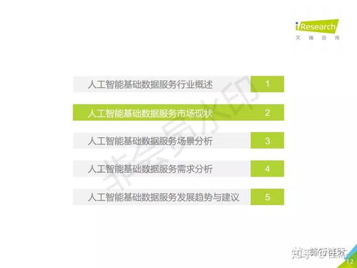 2019年中國(guó)人工智能基礎(chǔ)數(shù)據(jù)服務(wù)白皮書(shū) 驅(qū)動(dòng)智能未來(lái)的核心基石