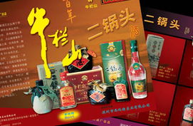 網端品牌設計 南京產品包裝設計與廣告設計的專業之道